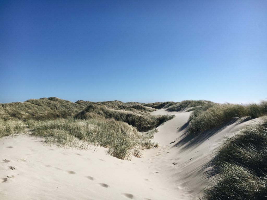 oregon sand dunes