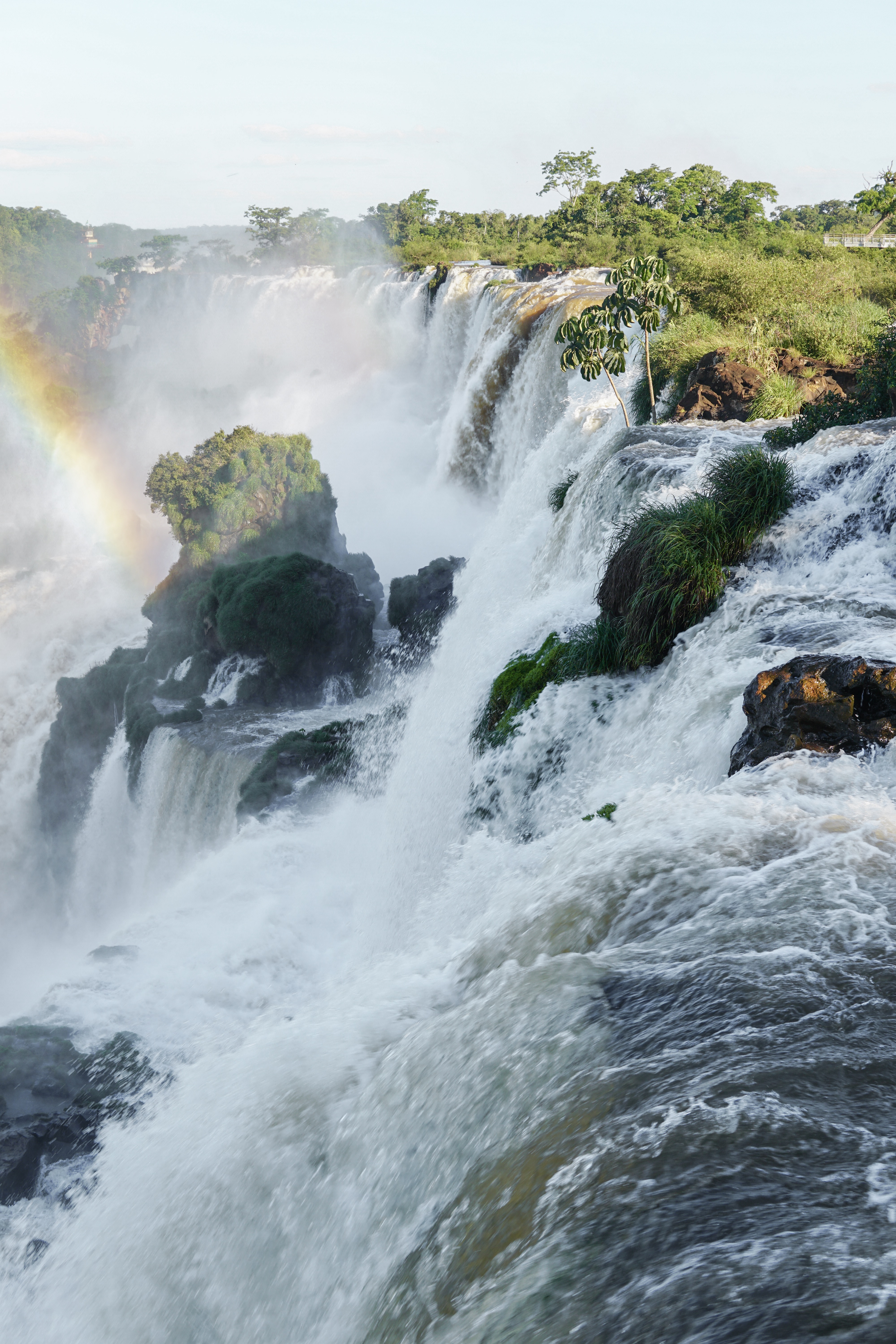 iguazu falls, Argentina, rainforest,