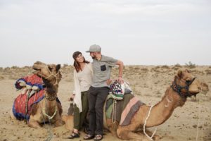 safari, camel, desert