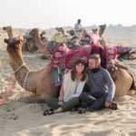 camel, safari, desert