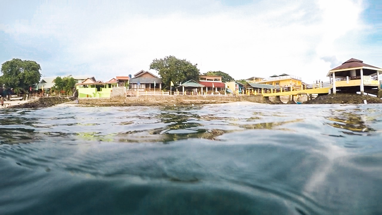 Cebu Dive Center, Moalboal