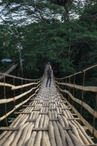 bamboo hanging bridge