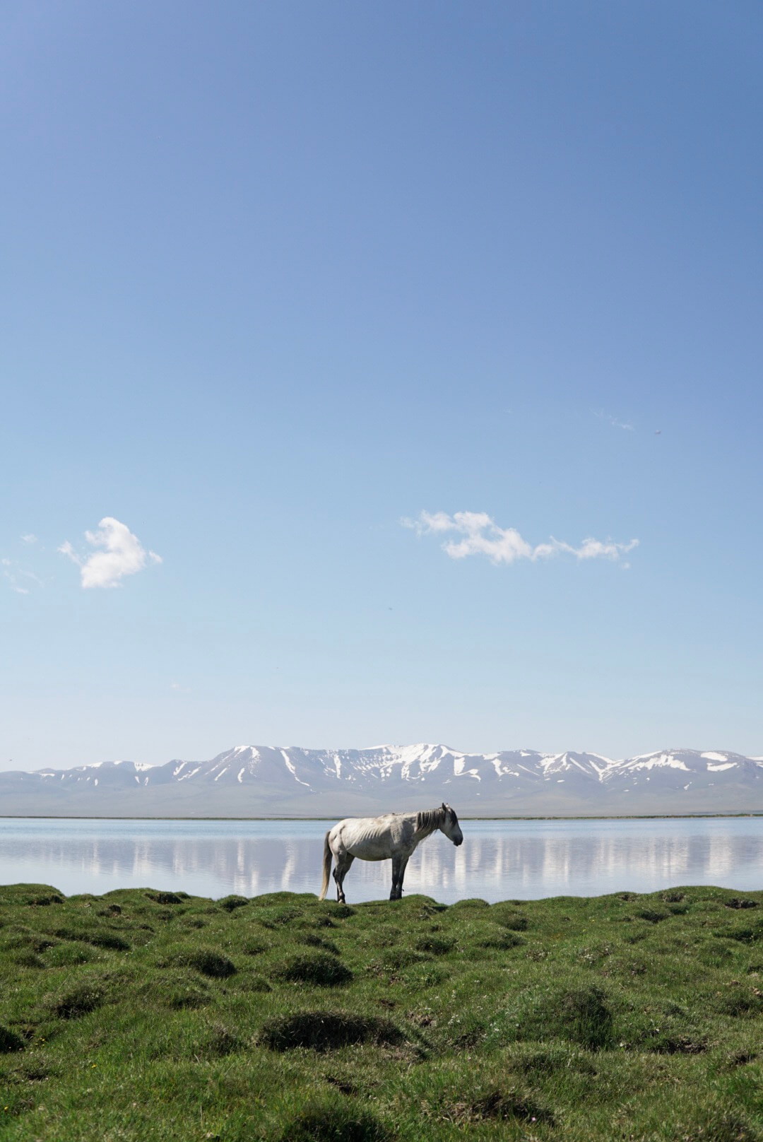 Kyrgyzstan, Horse, Song Kul Lake