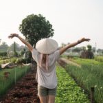 vietnam, vegetable gardens, hoi an, budget