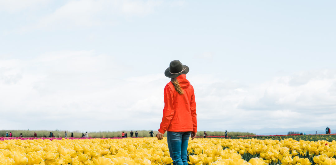 willamette-valley-oregon-tulip-festival