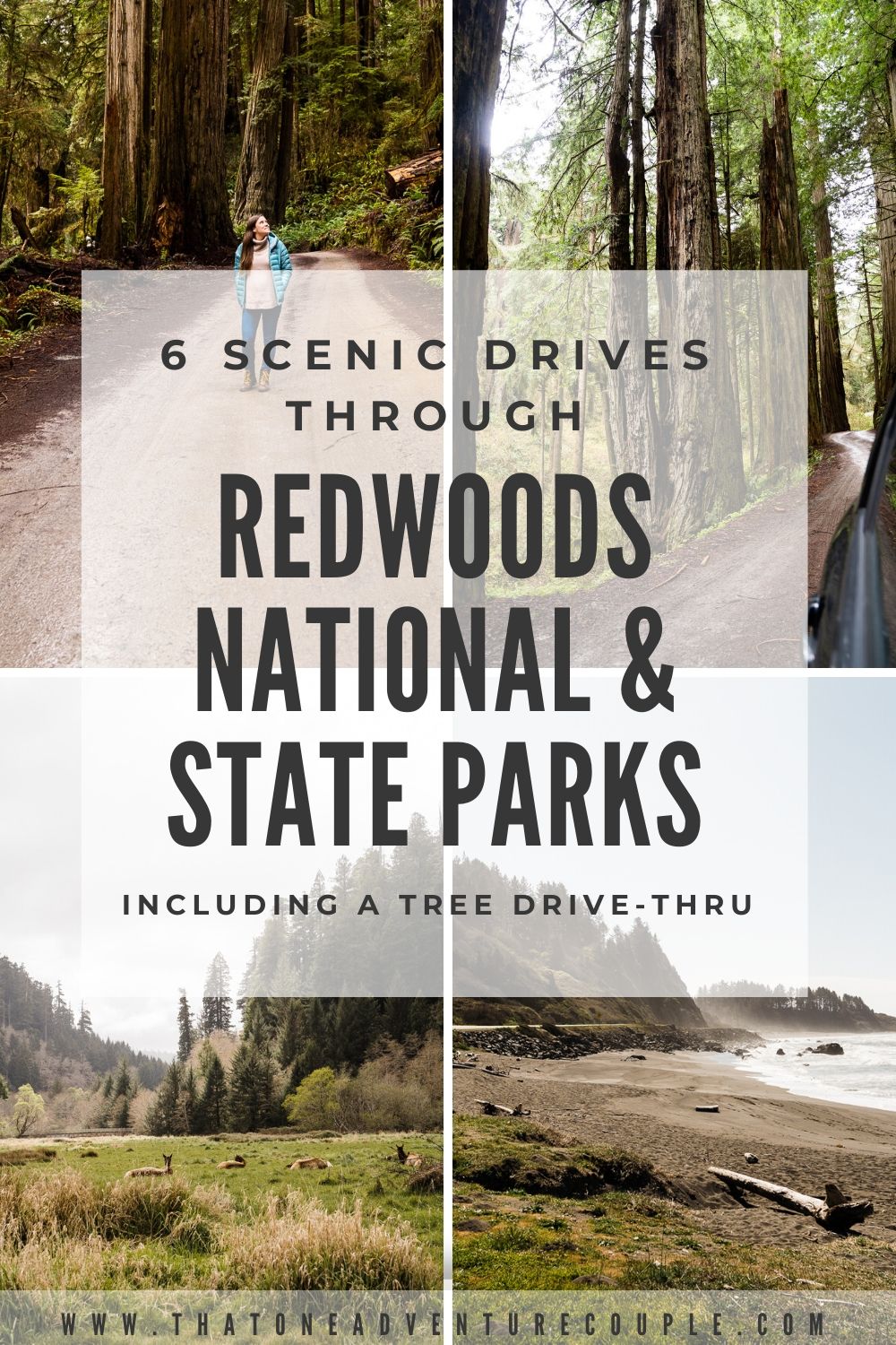 6 Incredible Scenic Drives To Take Through The Redwoods National And State Parks That One