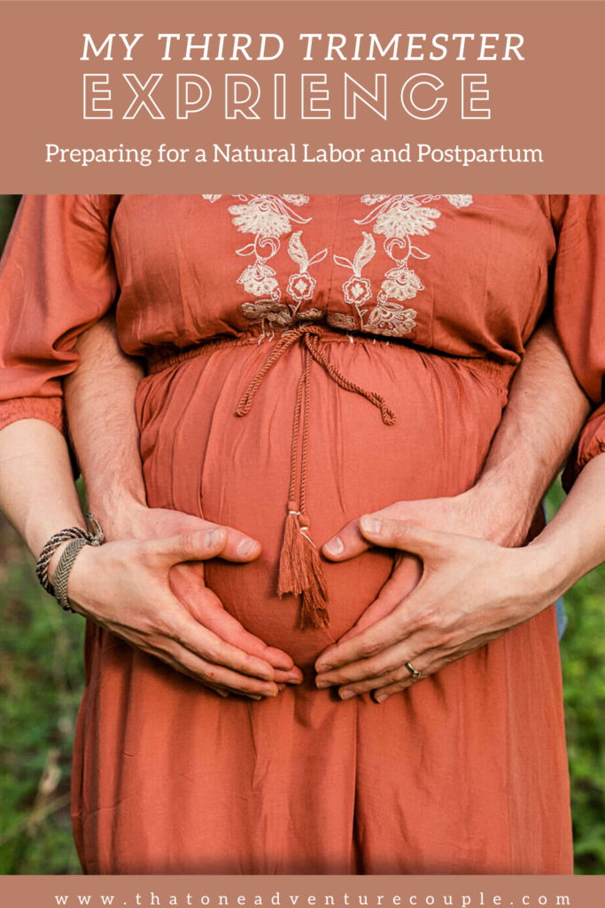 Third Trimester of Pregnancy: What to Expect for Weeks 28-40 - Red Rock  Fertility